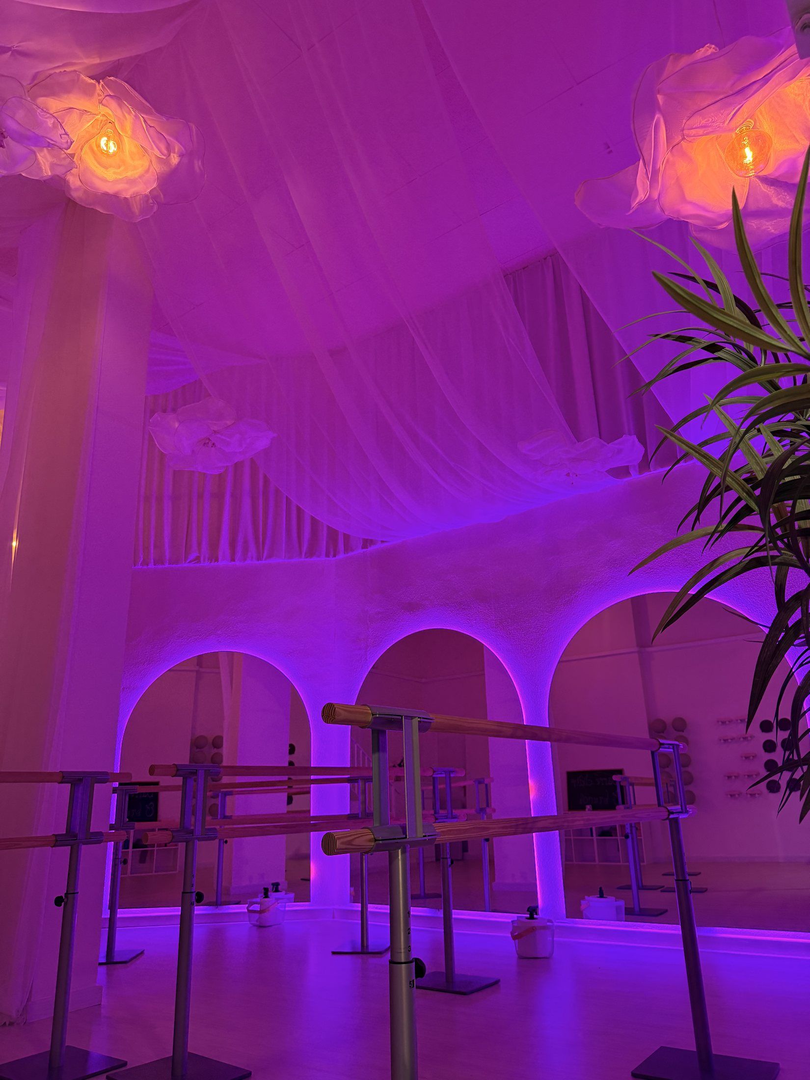 Estudio de Barre en violeta, vista desde la entrada