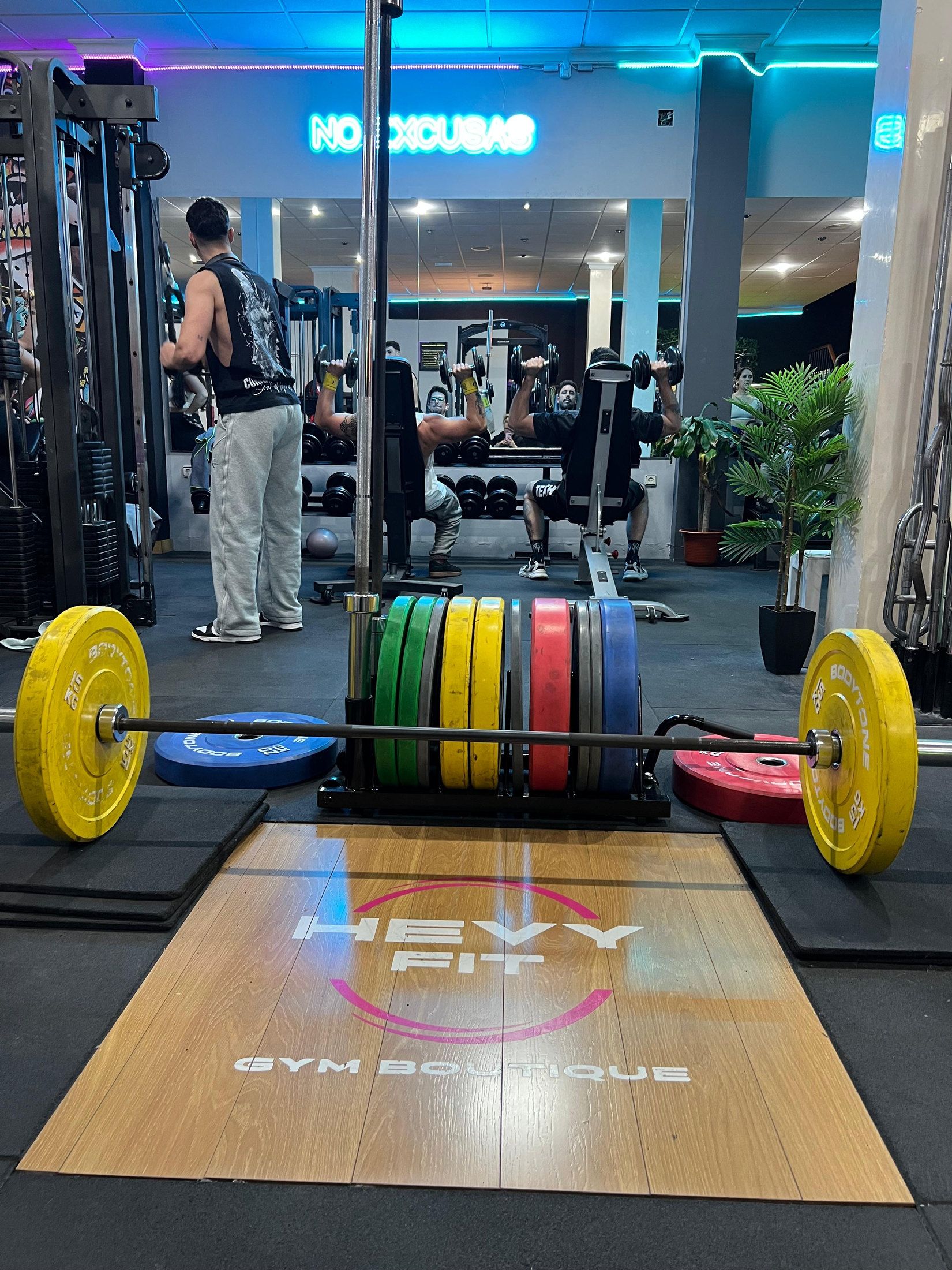 Barra olímpica con discos de colores sobre la plataforma de la sala de fuerza